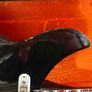 Guyatone SG-42T Black 1960's Image 3