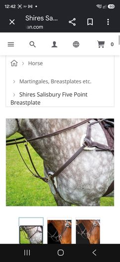 Breastplate 5 point.Shires