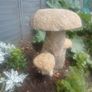 Granite mushrooms Image 3
