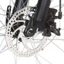 Mountain Bike 21 Speed 29 inch Wheel 48 cm Frame Red Image 6