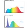BioLight - Full Spectrum Light Image 2