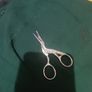 scissors Image 4