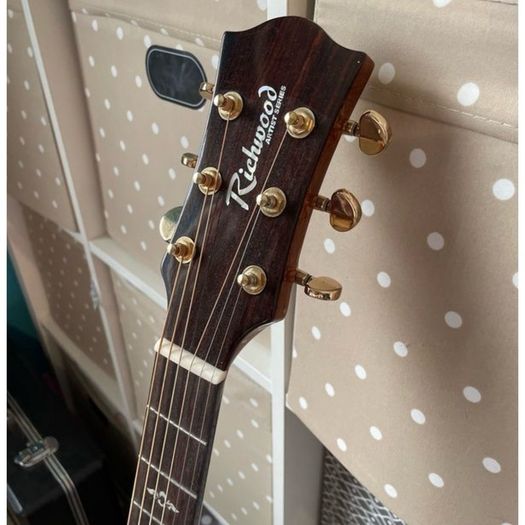 Richwood Electro Acoustic