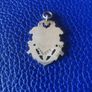 Silver Irish Medal Image 2