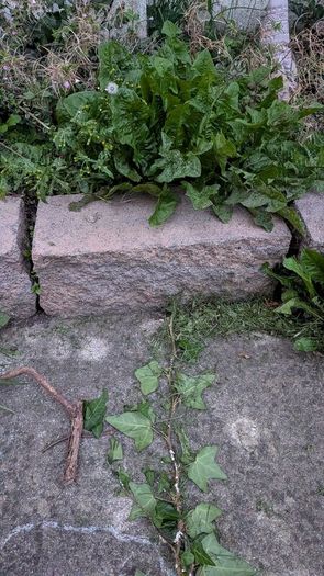 Garden kerbstones