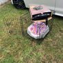 Dog Crate bundle. Small to medium size dog. Image 4