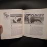 Bullfighting : A Classic Illustrated Guide to the History, Practice, and Art of the Corrida, BY THE AMERICAN MATADOR Image 6