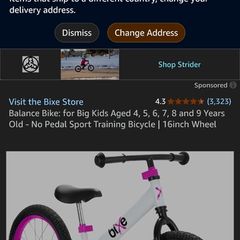 balance bike large