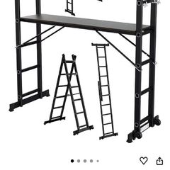 scaffold & ladder