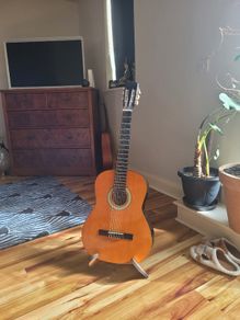 Guitar
