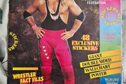 WWF wrestling wallchart poster