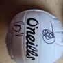 2 minature oneill balls signed by the 2019 5 in a row football team including the dublin ladies Manager Mick Bohan Image 9