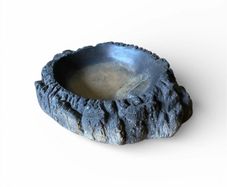 Reptile Dish