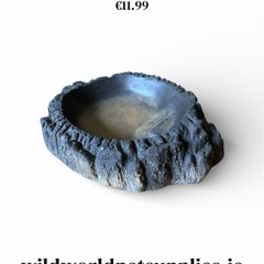 Reptile Dish