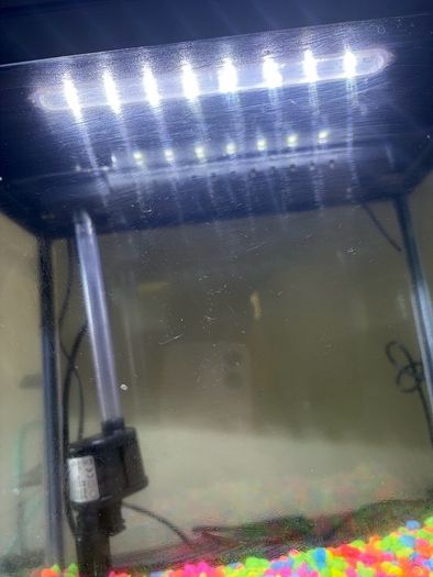 fish tank