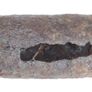 1700's rare Hand forged iron Shepherd's "crook " Image 5