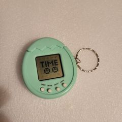 electronic pet