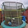 trampoline Image 2