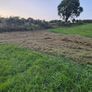 Grass silage Image 3
