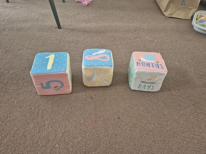 Baby Age Blocks and Blanket