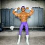 WWE Wrestling Figures Image 5