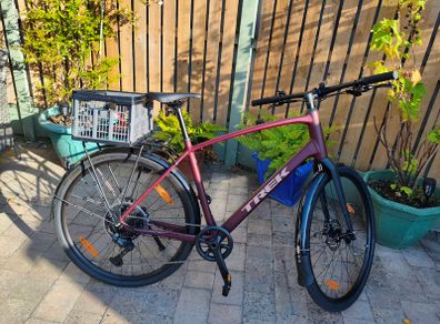 Trek fx3 sport 2026