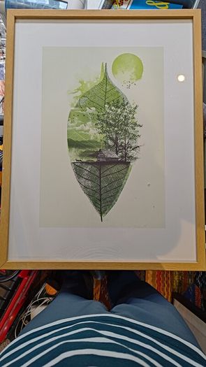 framed prints