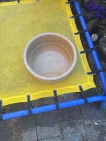 dog bowl