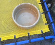 dog bowl