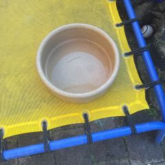 dog bowl