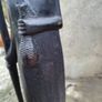 African Statue Handmade  MakondeTanzania  Hand Carving Image 3