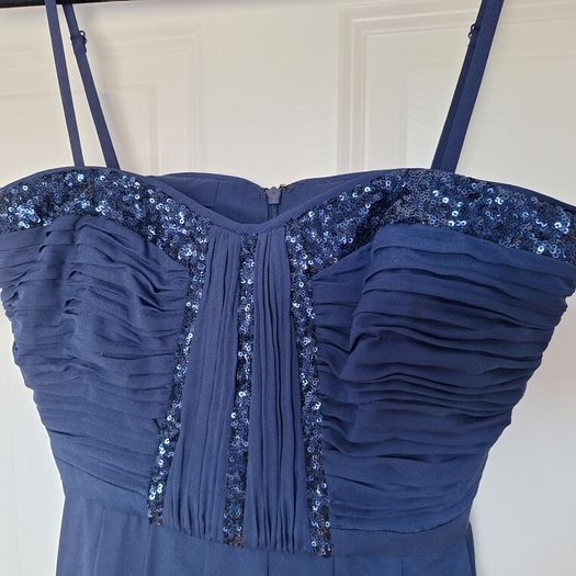 Coast Navy Dress