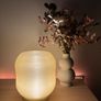 LED Ambient Lamp Image 3