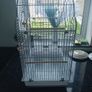 Birdcage Image 7