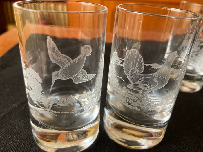 Shot wildlife engraved glasses- 6 piece set