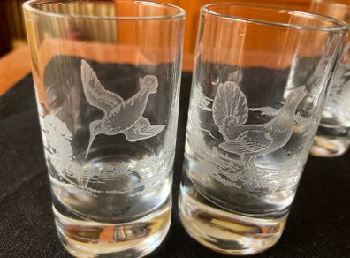 Shot wildlife engraved glasses- 6 piece set
