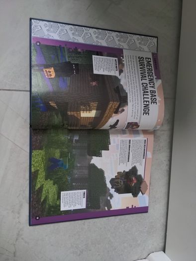 Minecraft Annual 2019