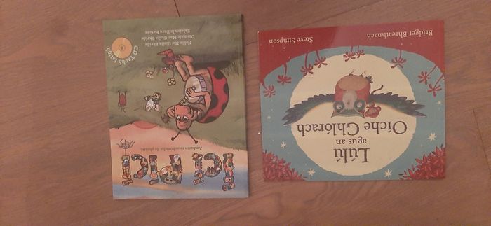 2 x Irish Childrens Books (1 with CD)