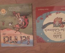 2 x Irish Childrens Books (1 with CD)