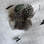 Fascinator Image 2