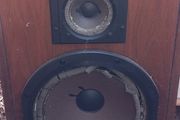 acoustic speakers AR58LS
