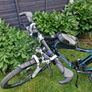 Bike Image 6