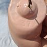 Art Nouveau 16 Inch German Bisque Doll Image 8