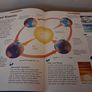 Science Encyclopedia Image 5