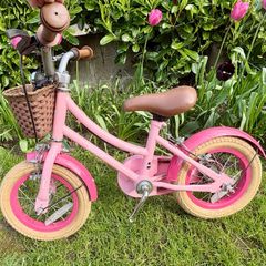 12" Verve Summer bike