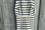 BNWT Zara Dress