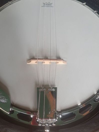 Banjo 4 string Tennessee & case