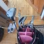 Prosimmon Pink Golf Bag Stand with Foot Joy Ladies Golf Shoes Size 39 Image 6