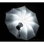 31344 84cm 33 inch Silver & Black Umbrella Image 4