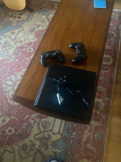 playstation 4 please read